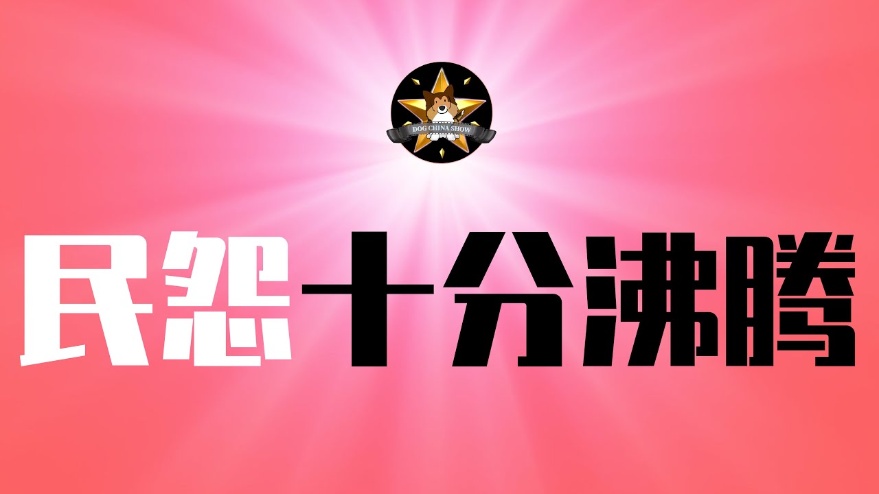终于来了！中国社会已成火药桶，随时爆！如何消耗最庞大的社会底层？对电影芳华、红楼梦的狂热解读，批斗吴京、关晓彤｜芳华｜冯小刚｜习近平｜毛泽东｜文化大革命｜红楼梦