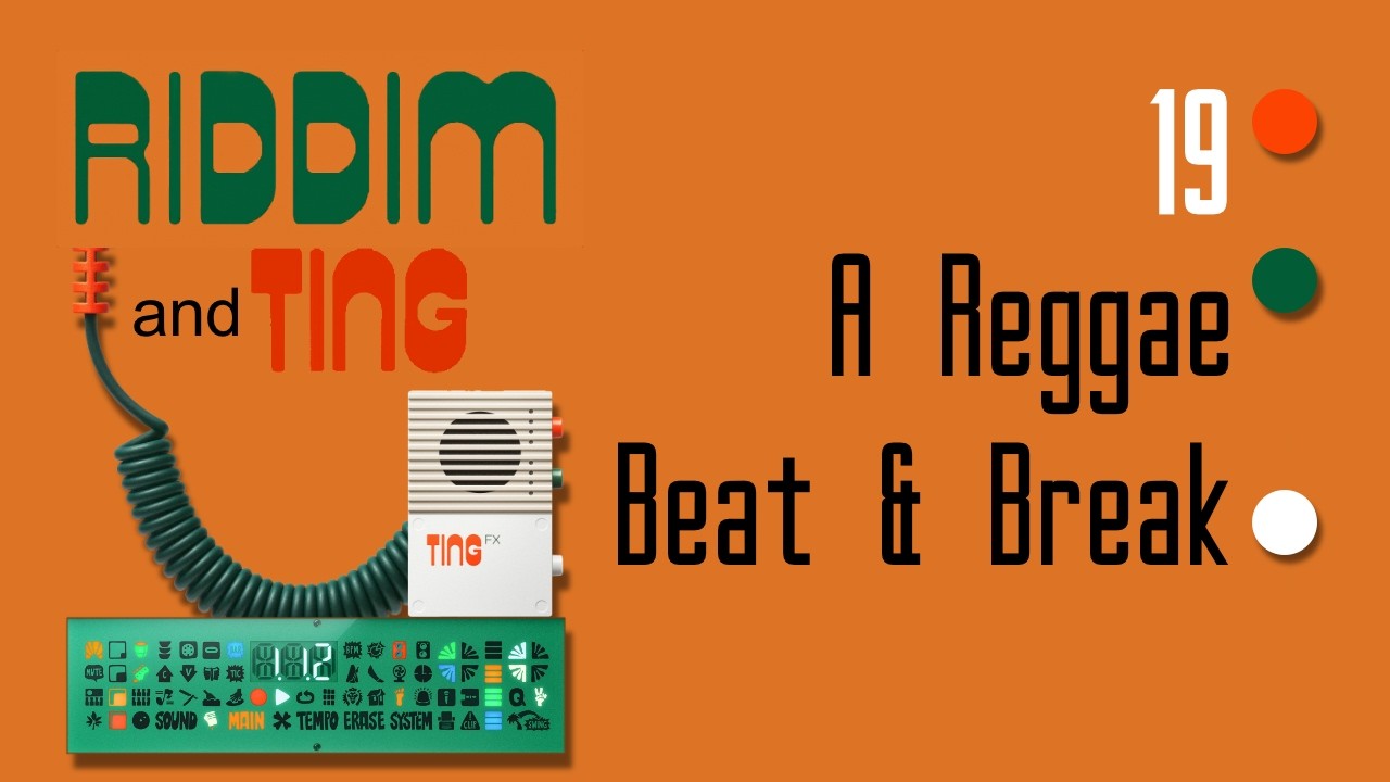 Teenage Engineering EP-40 Riddim - Tutorial 19  How to construct a cool reggae beat & break