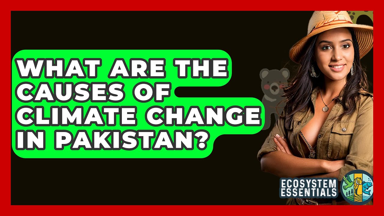 What Are The Causes Of Climate Change In Pakistan? - Ecosystem Essentials