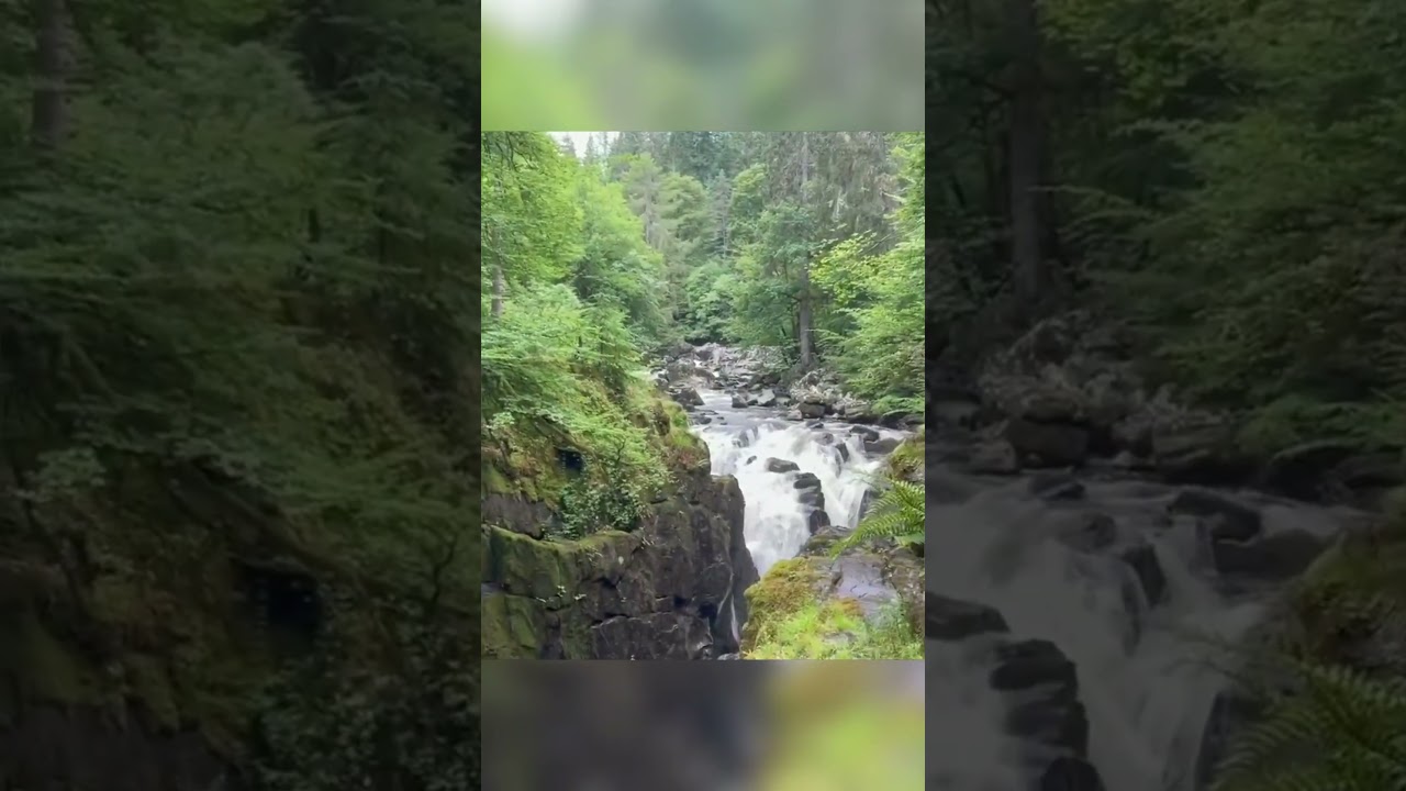 This Beautiful Waterfalls - The Hermitage Dankeld Scotland #video #travel #beautiful #trending