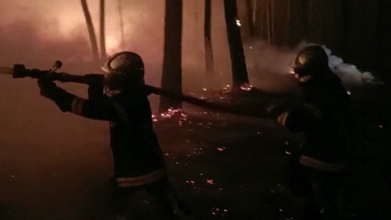 Skogsbr&auml;nder och uttorkade floder &ndash; extremtorka i Europa | TV4 Nyheterna | TV4 & TV4 Play