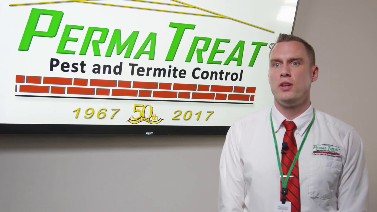 PermaTreat's Pest Control