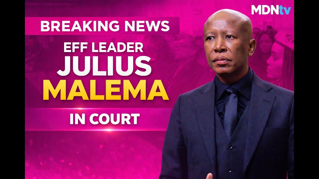 BREAKING NEWS | MALEMA'S PRE-SENTENCING POSTPONED TO 15-16 APRIL 2026