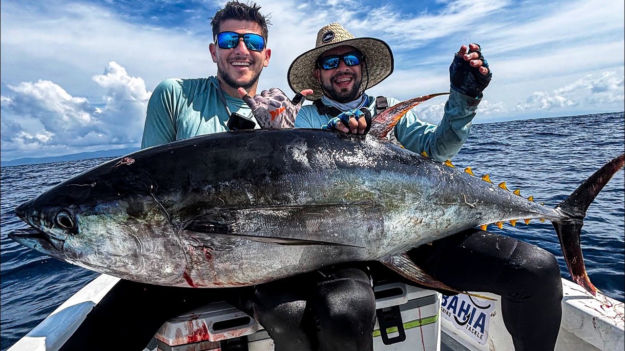 Atunes GIGANTES en Golfito COSTA RICA