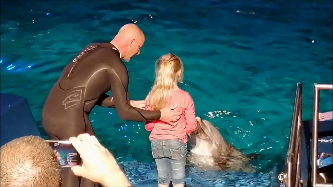Dolfijnenshow Aqua Bella