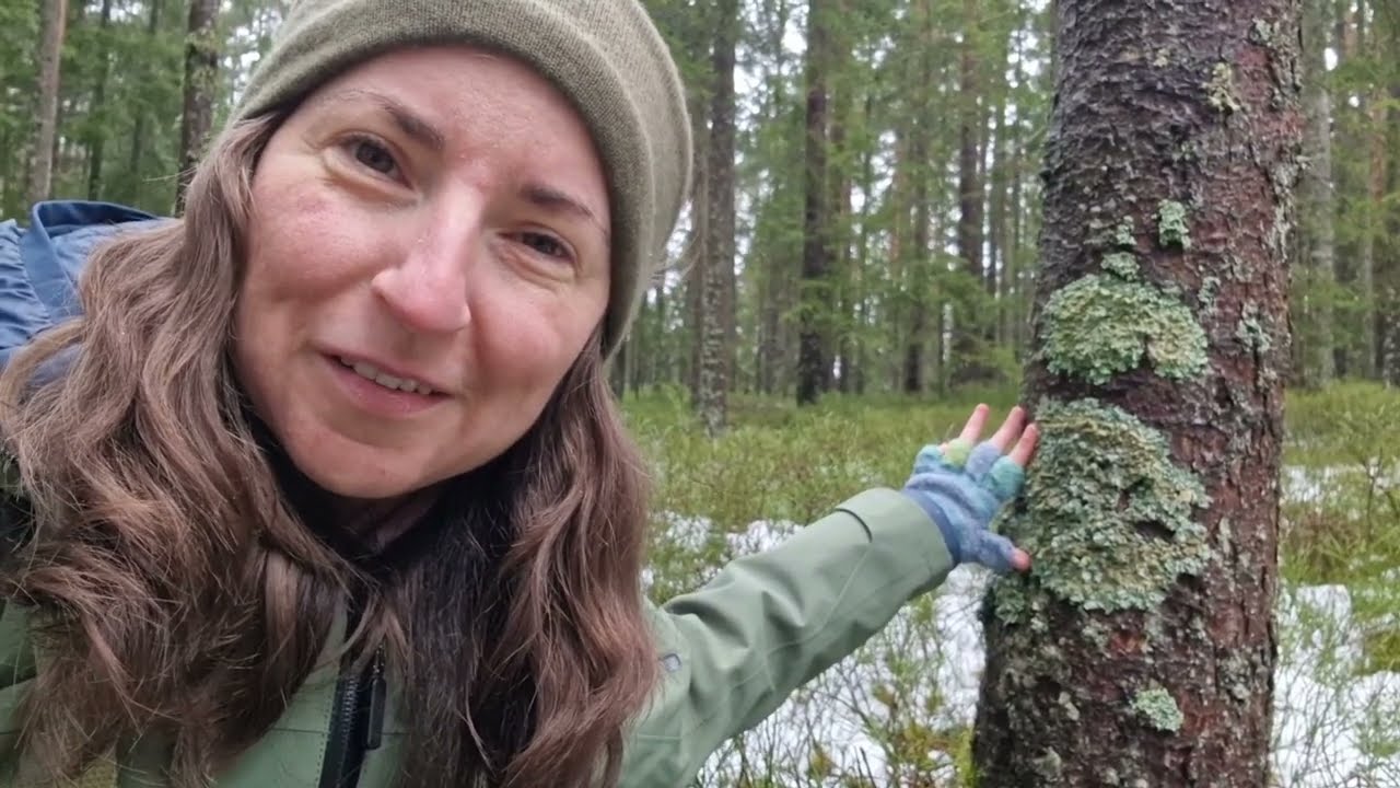 Das weist du sicher nicht über Wald, Flechten und Weiher