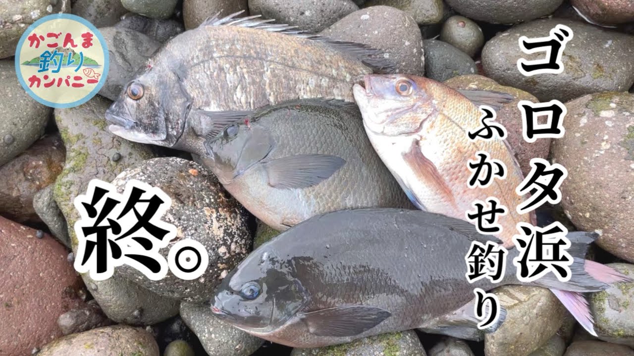 【鹿児島ふかせ釣り】色々訳あって最後のゴロタ浜ふかせ釣り（ショートver.）