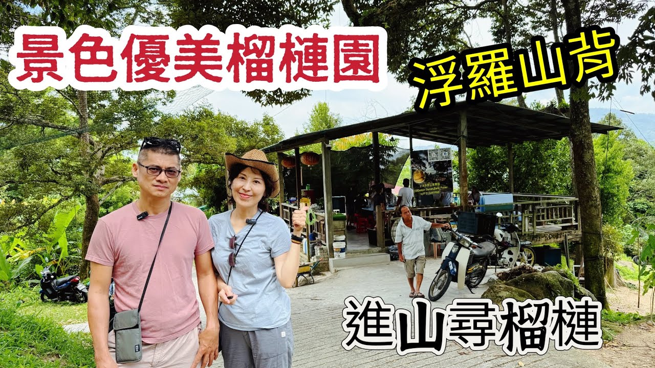 🌈尋榴槤 在美麗浮羅山背 |为了榴梿飞大马ep.20 | #马来西亚 #槟城浮罗山背| # Malaysia #Penang #Durian | 2024.07|1130