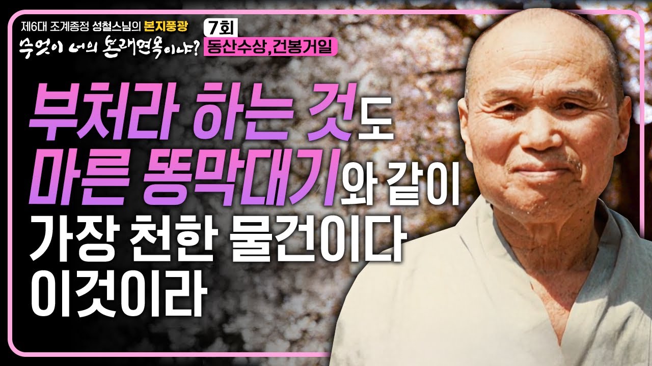 "모든 부처님은 다 마른 똥막대기다 이 말이야" 불교에서는 부처님이 가장 참말로 존귀한 존재인데 가장 천한 물건이다 | 조계종정 성철스님의 본지풍광 무엇이 너의 본래면목이냐 7