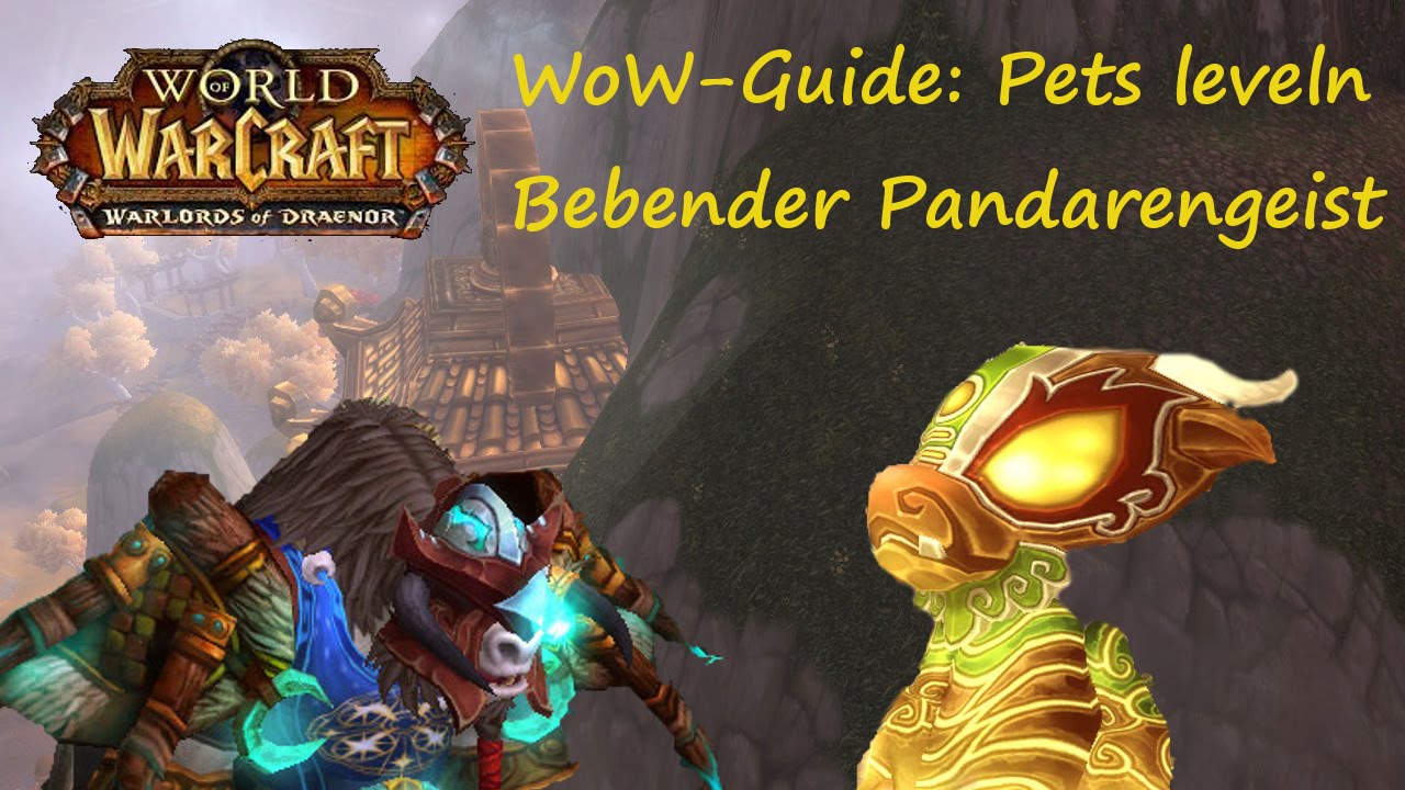WoW-Guide: Pet-Leveln mit Bebender Pandarengeist