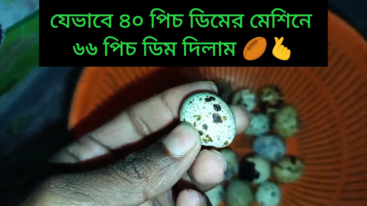 যেভাবে ৪০ পিচ ডিমের মেশিনে ৬৬ পিচ ডিম দিলাম 🏉🫰