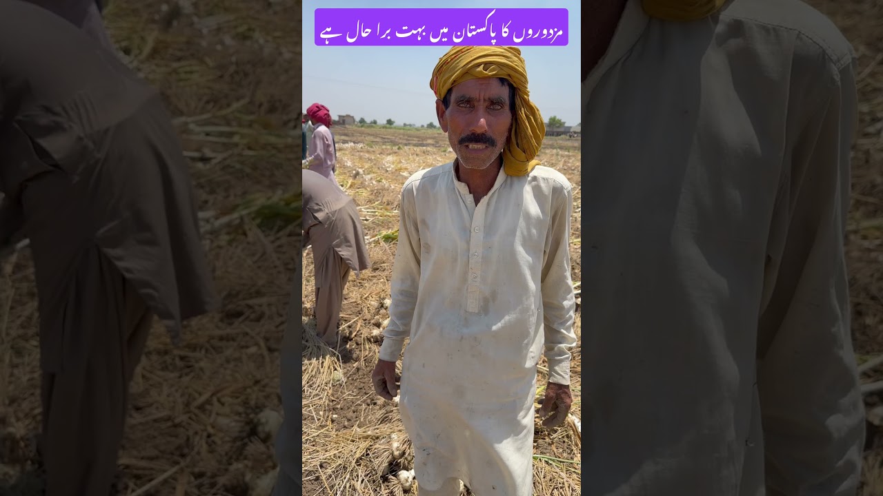 Labour charges in pakistan | india vs pakistan