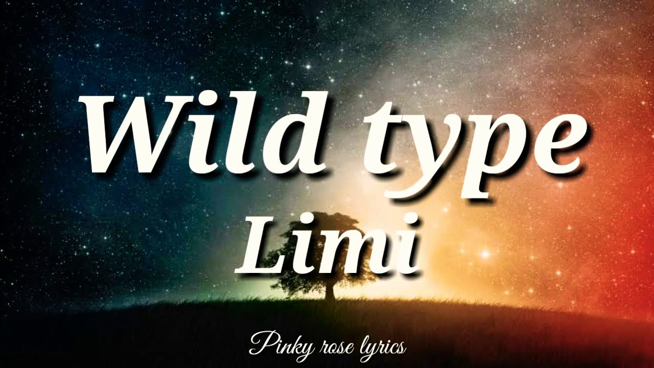 Wild type - Limi (lyrics)🌹
