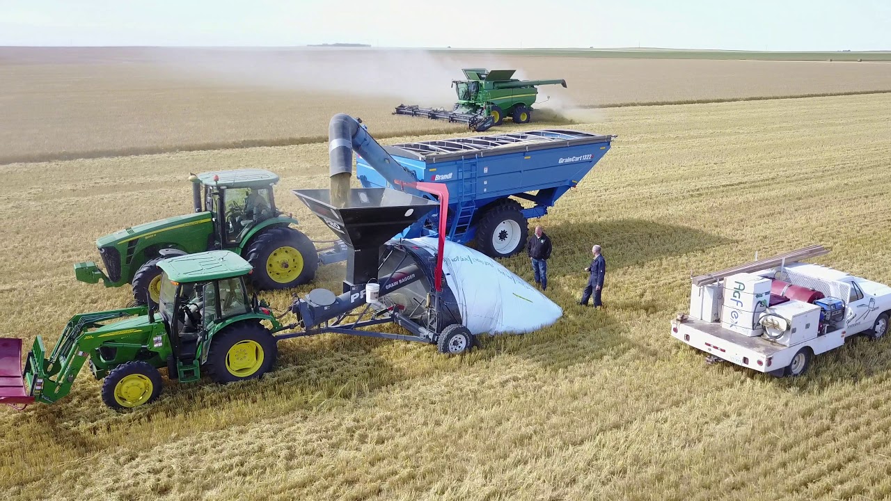 Keith Farms 2017 Season - Sovereign, SK