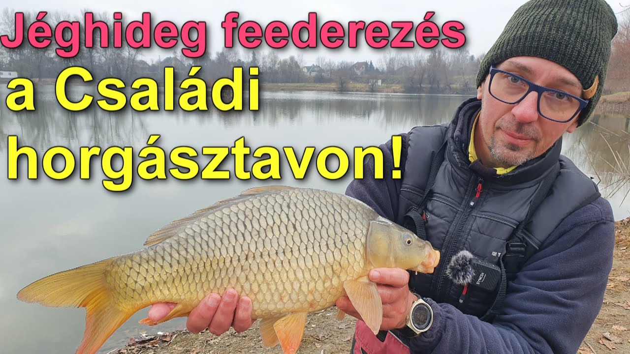 Jéghideg feederezés a Családi horgásztavon!
