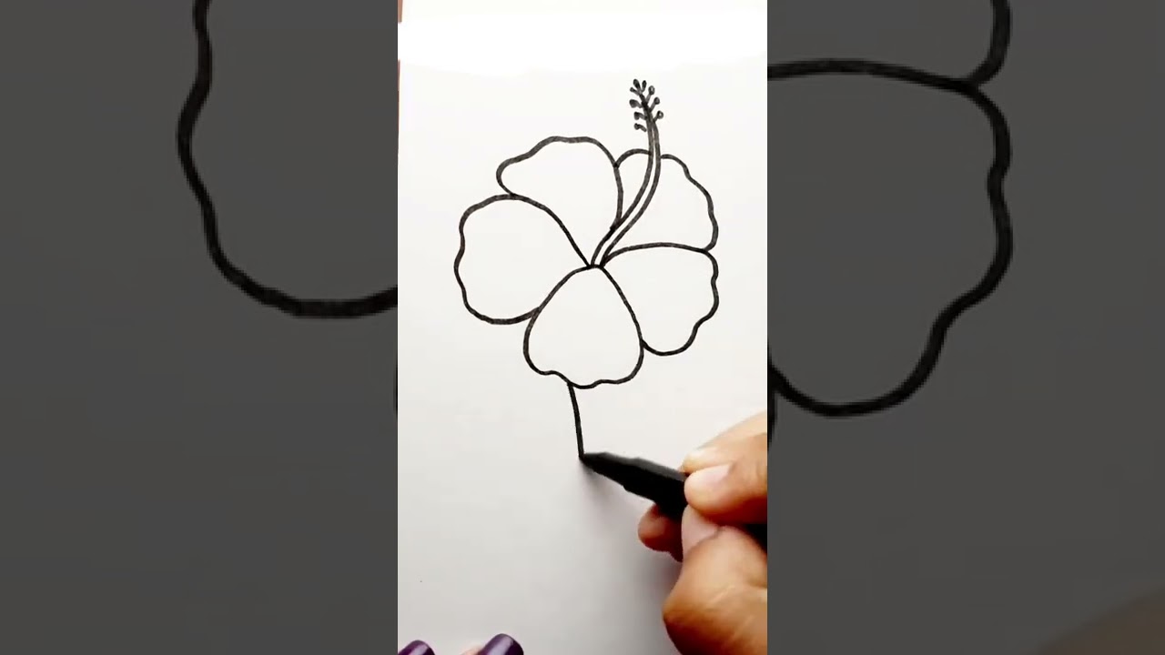 Hibiscus Flower Drawing.🌸🌸