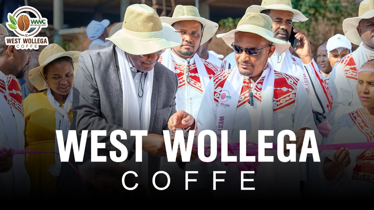 West wollega Coffee For The International Market! | Urjin Entertainment | FEB 12, 2026