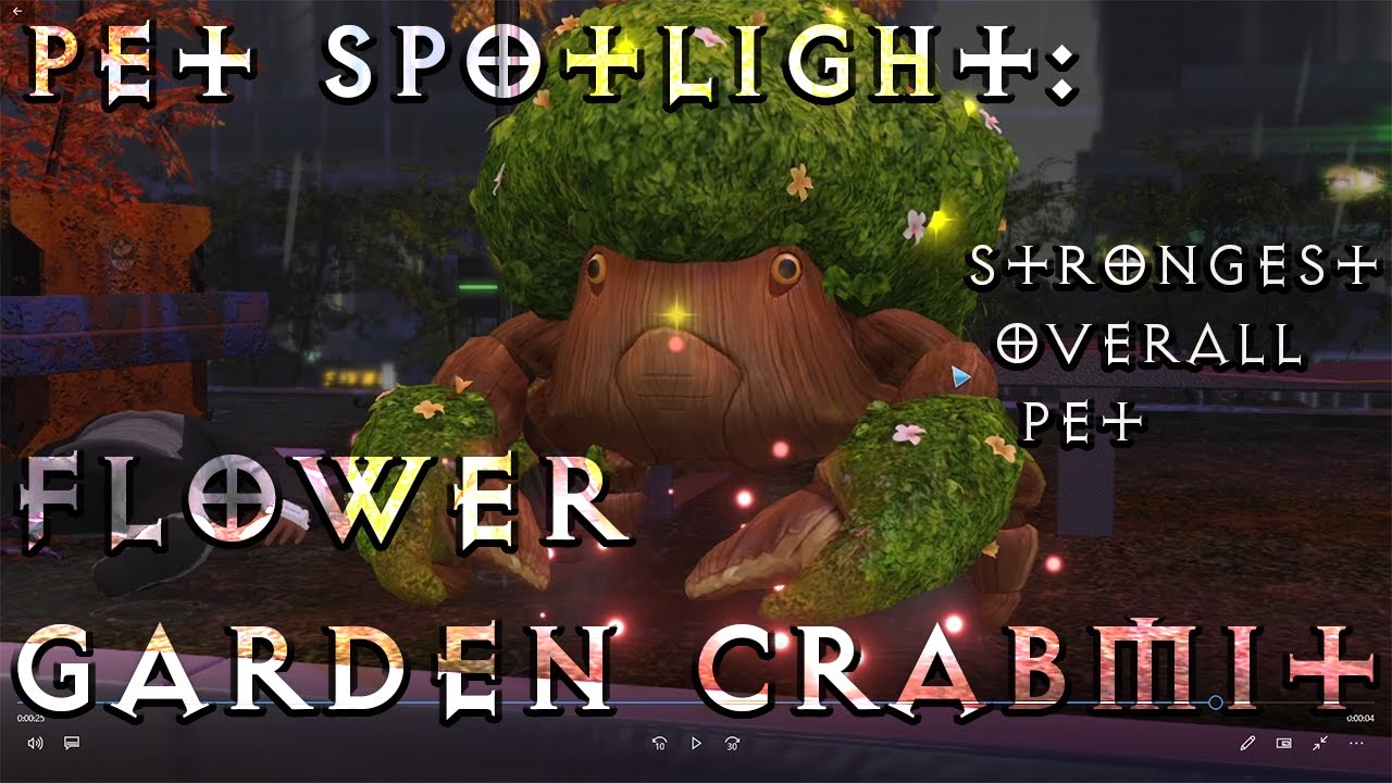 Troubleshooter: Abandoned Children | Pet Spotlight: Flower Garden Crabmit