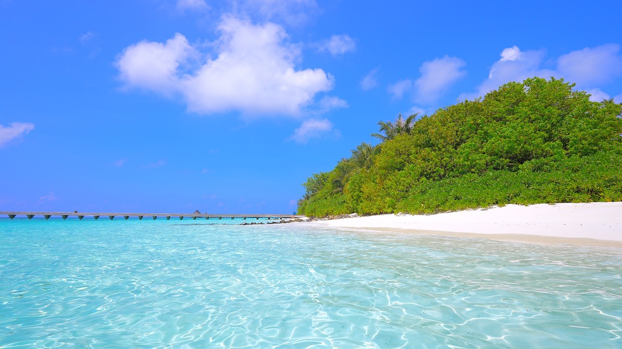 Heaven on Earth 🌴 Maldives & Ocean Waves 4K 60FPS Dolby Vision
