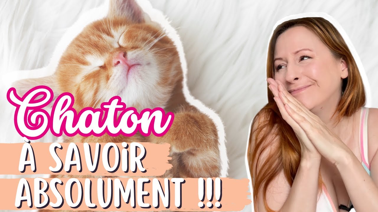 Quand adopter son chaton ?