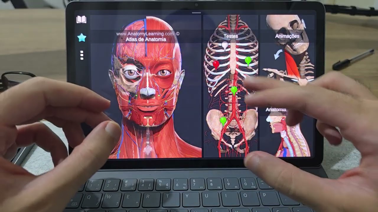 Tab S10 Lite vs S10 FE: você (provavelmente) não precisa do mais caro!