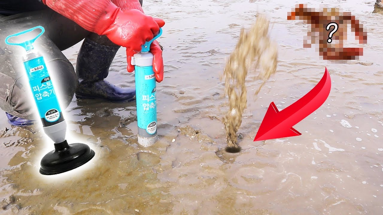 [도깨비] 갯벌 구멍에 뚫어뻥질을 했더니 놀라운 일이....????