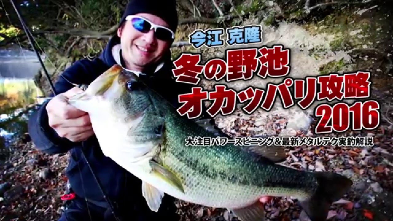 【イマカツ】今江克隆　冬の野池オカッパリ攻略2016