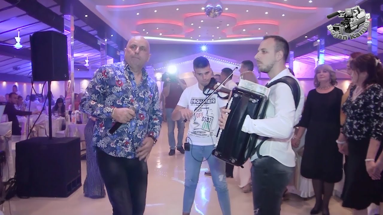 Aca Dimitrijevic - Poigravanje na harmonici  ( Svadba Bojana i Rade )