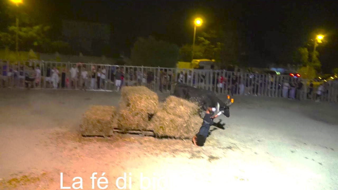 Saint-Jean-de-Védas ▶Taureaux piscine + Encierro - manade Alain◀ 31.08 & 01.09.2024 🤣