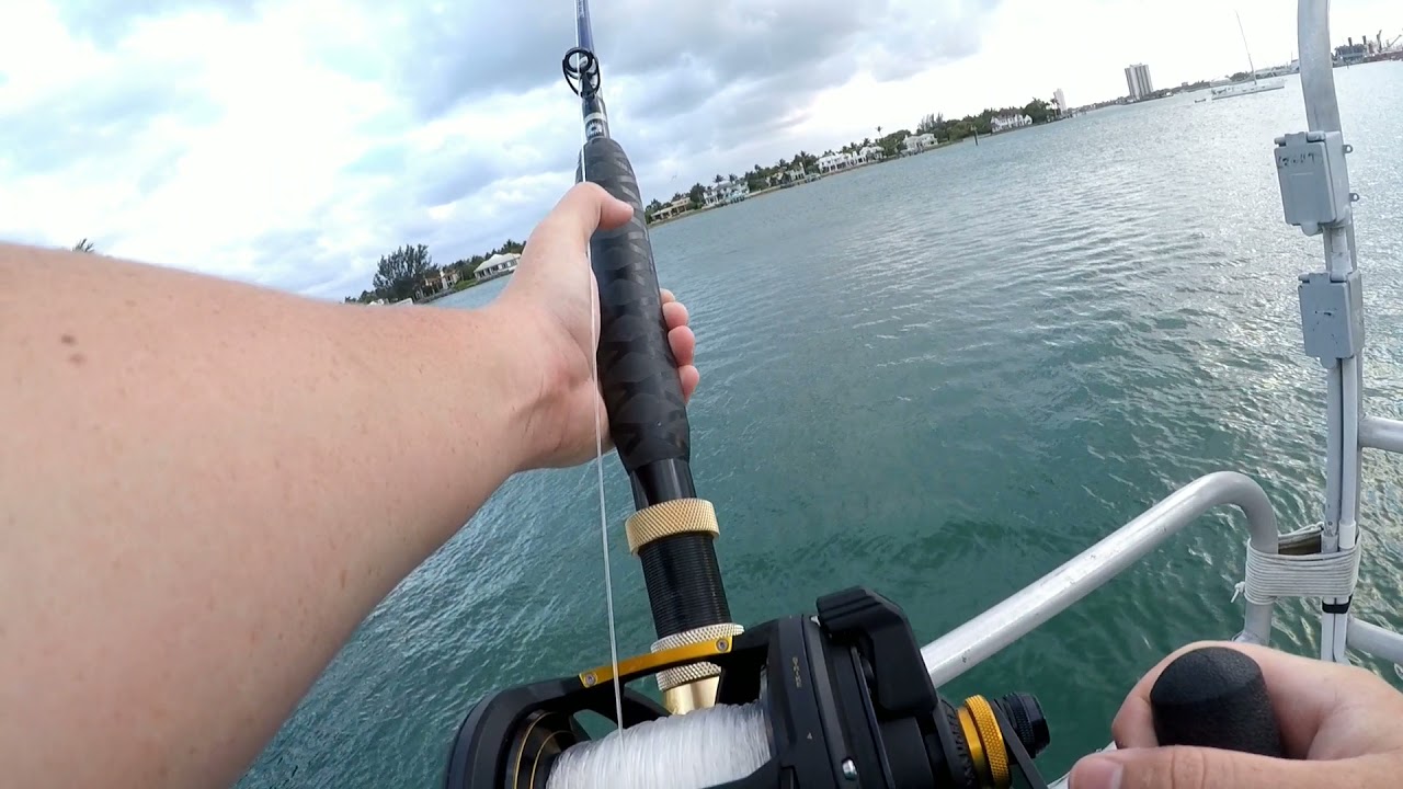 Easter Sunday Shark Fishing, Two Bull Sharks