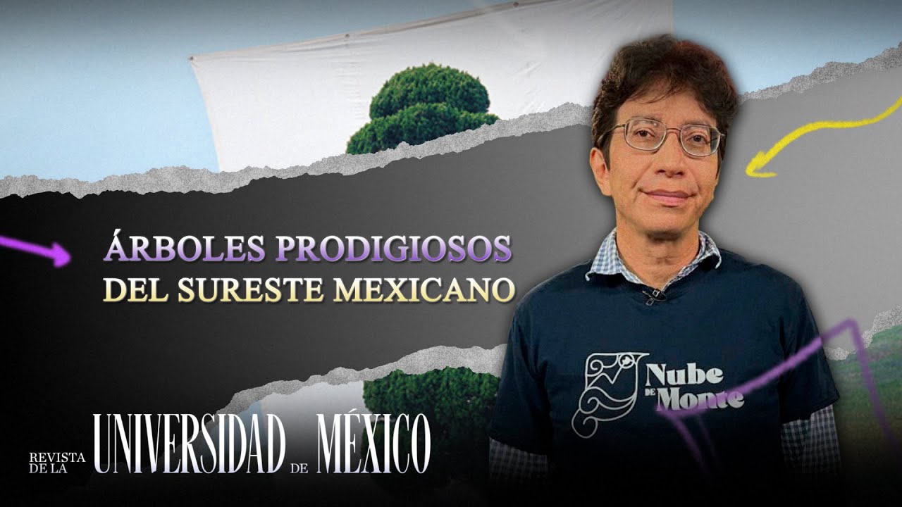 Árboles prodigiosos del sureste mexicano | Revista de la Universidad