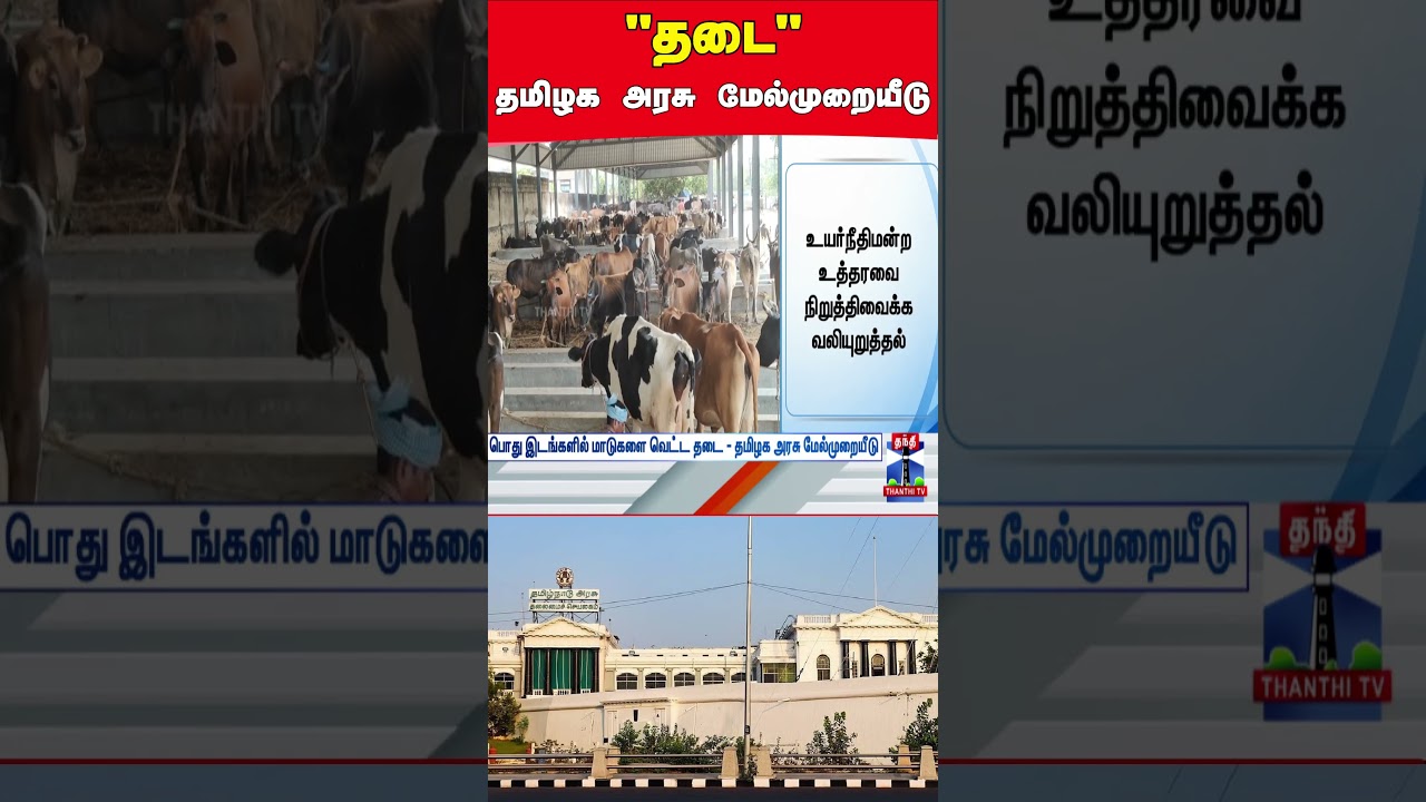 court | case | tngovt