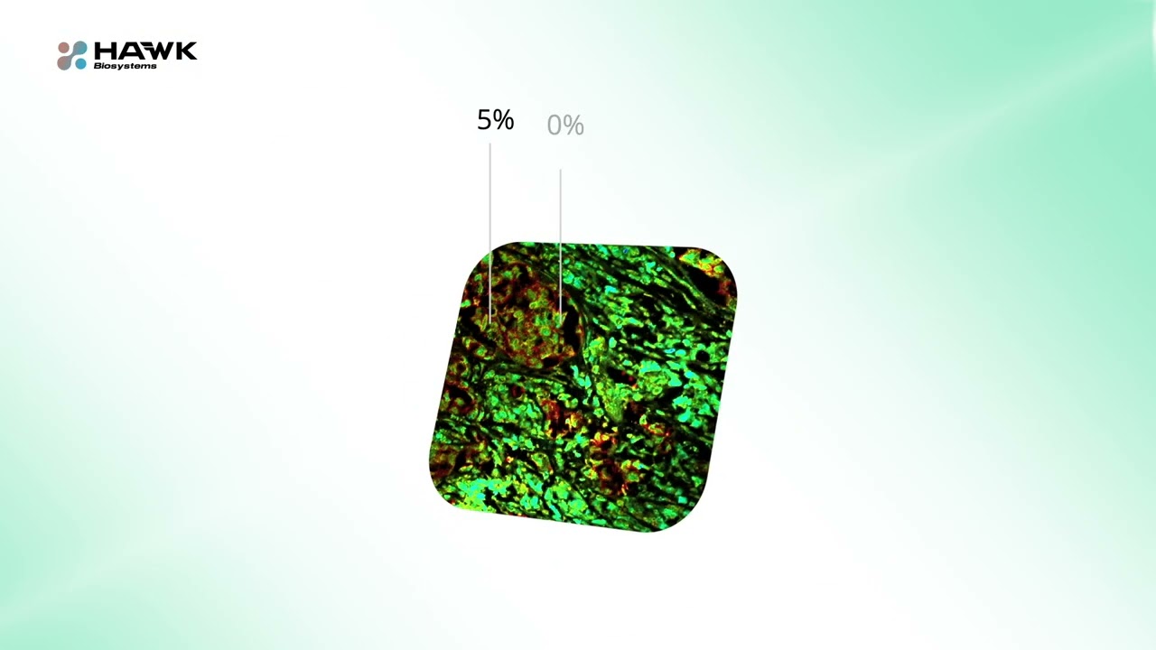 Innovating Spatial Proteomics with QF-Pro® by HAWK Biosystems