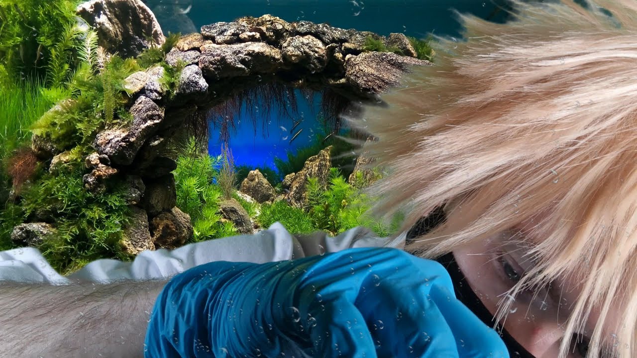ASMR - Ear Inspection, Massage & Cleaning Under The Sea 👂 🐠 🎶