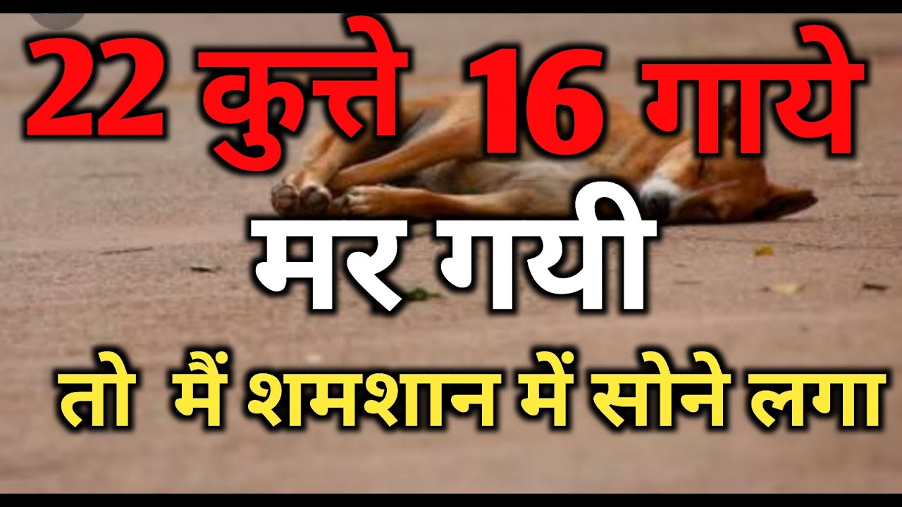 22 कुत्ते और 16 गाये मर गयी बाबा ने मुझे बचा लिया  #karaulisarkar #dishatv    #nwu24