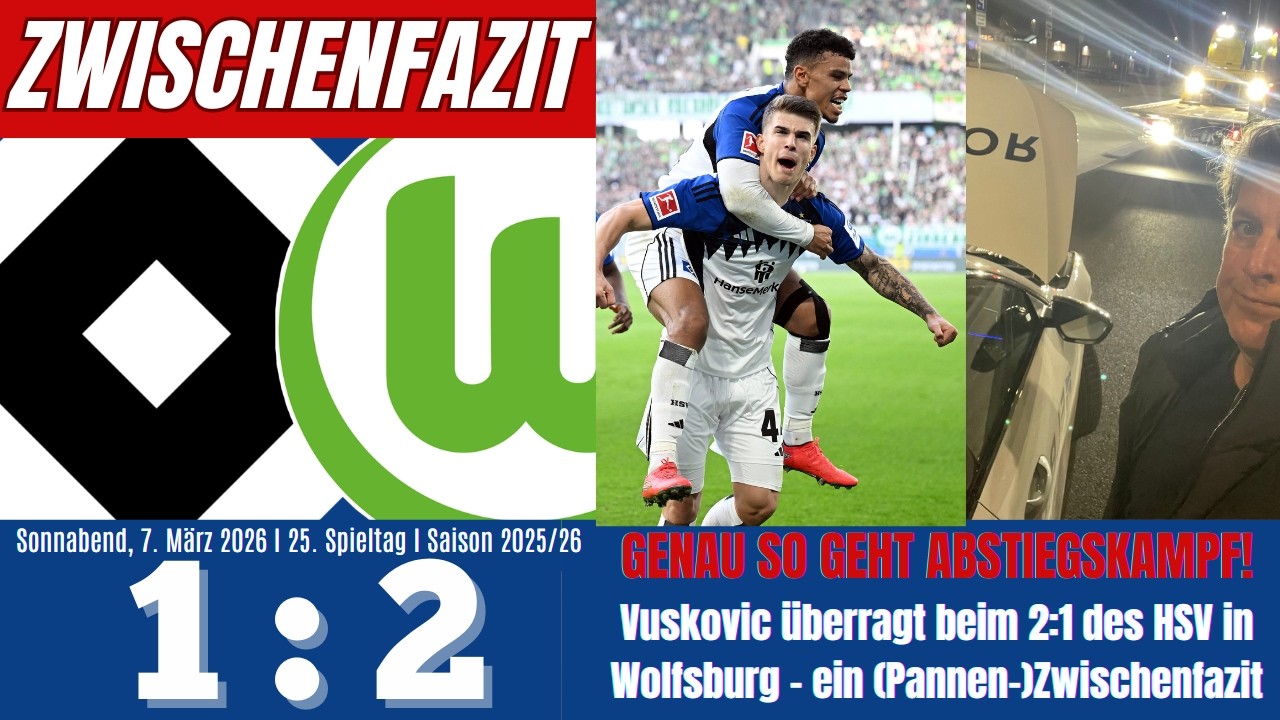Scholle's Zwischen-Fazit | Wolfsburg 1:2 HSV | 25. Spieltag | Saison 202452026