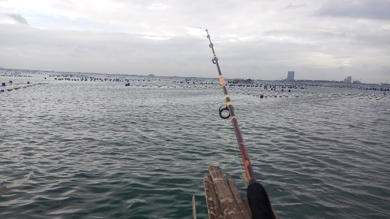Mancing di bagan muara Kamal seru banget
