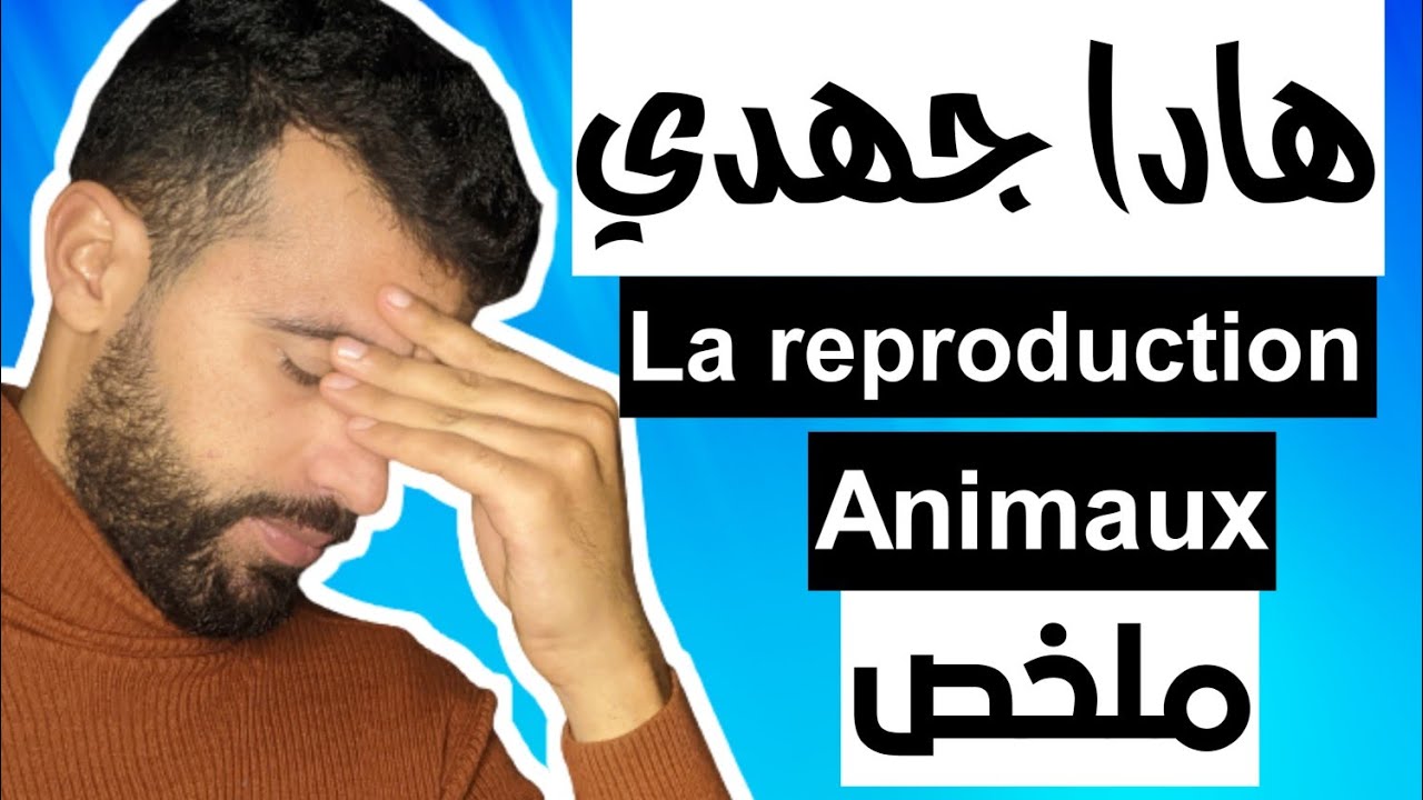 la reproduction chez les animaux 2 année college Résumé !
