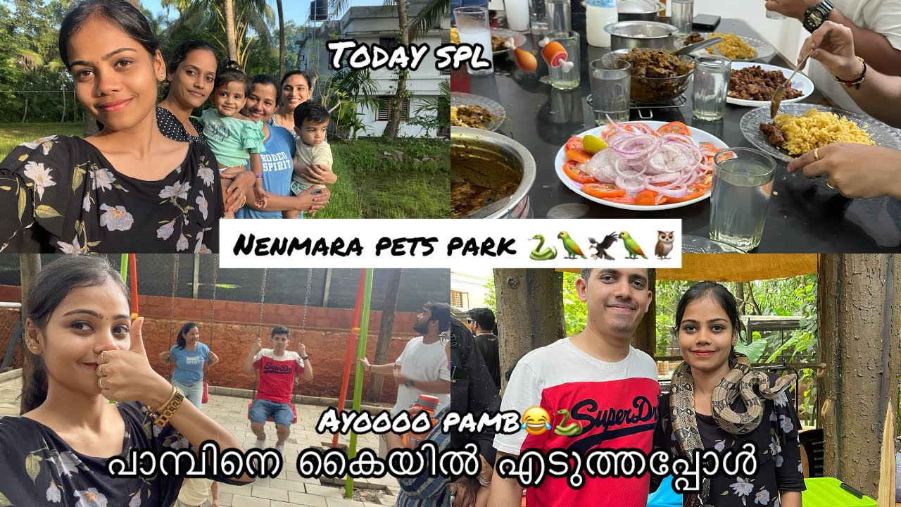 🐍നേ കൈയിൽ എടുത്തു 😱nemmara Pets park |vlog |dayout with cousins #petspark #palakkad