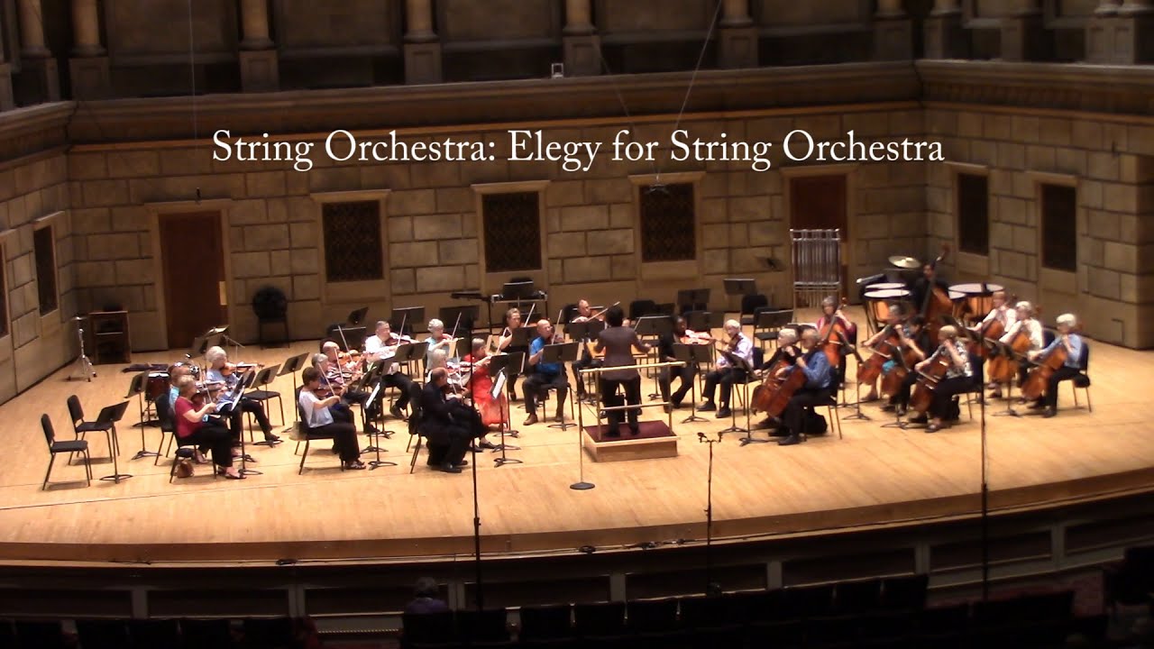 Elegy for String Orchestra