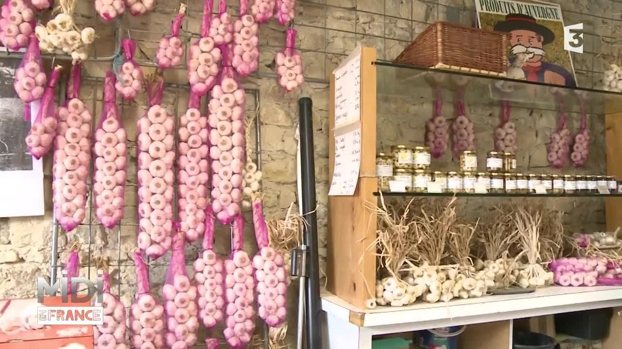 FEUILLETON : En Auvergne, l'ail voit la vie en rose