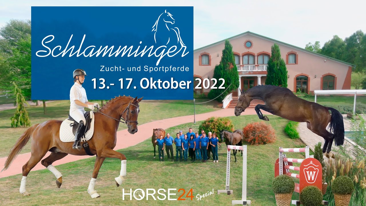 Trailer / 1. Online-Auktion Schlamminger Zucht- und Sportpferde / Horse24 Special Auction
