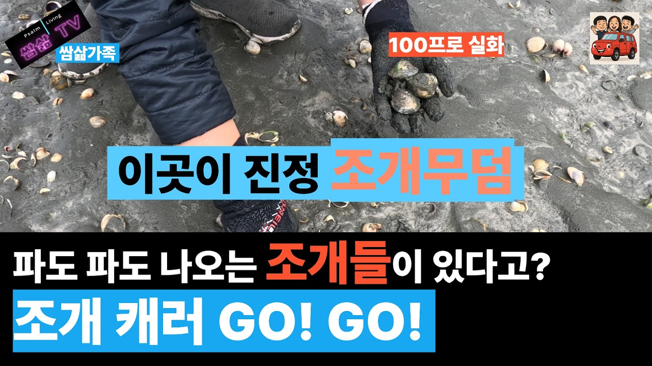 오케인스베이 조개캐기