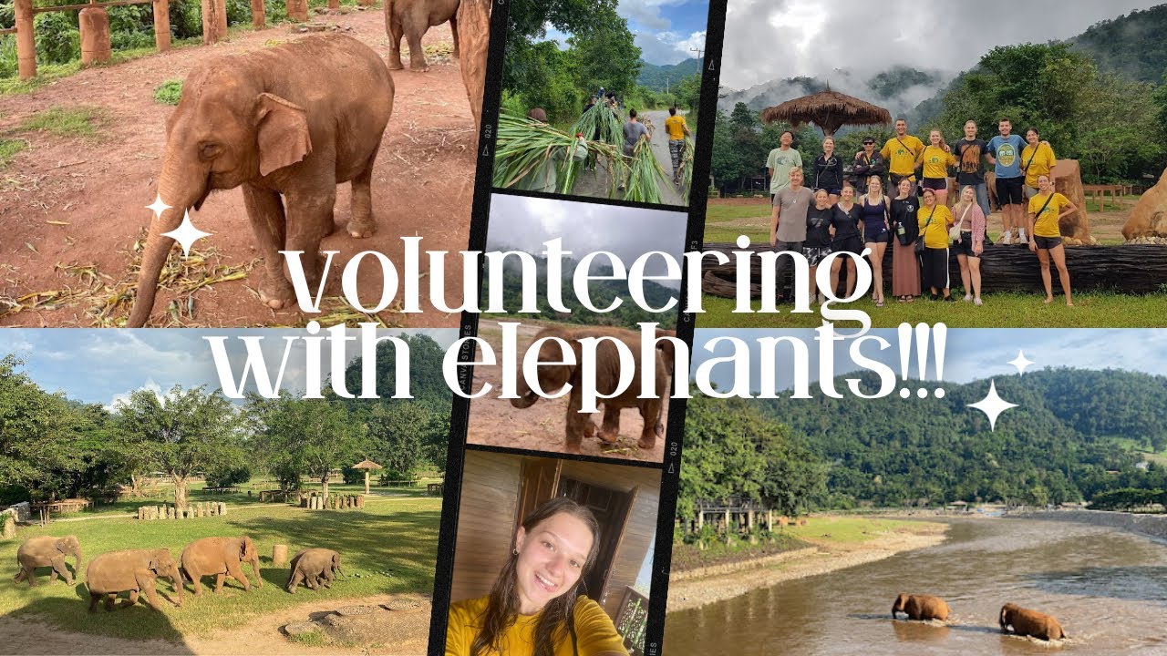 what's it like to live with elephants for a week?!