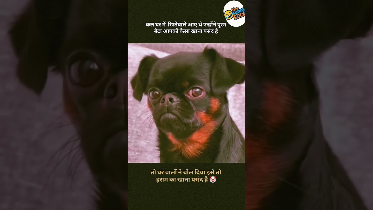 #funny