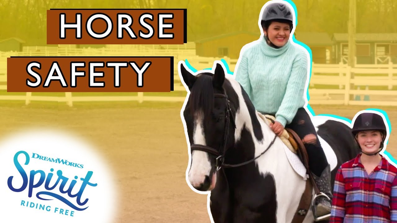 Top 3 Horse Safety Tips Every Beginner Should Know! | THAT'S THE SPIRIT