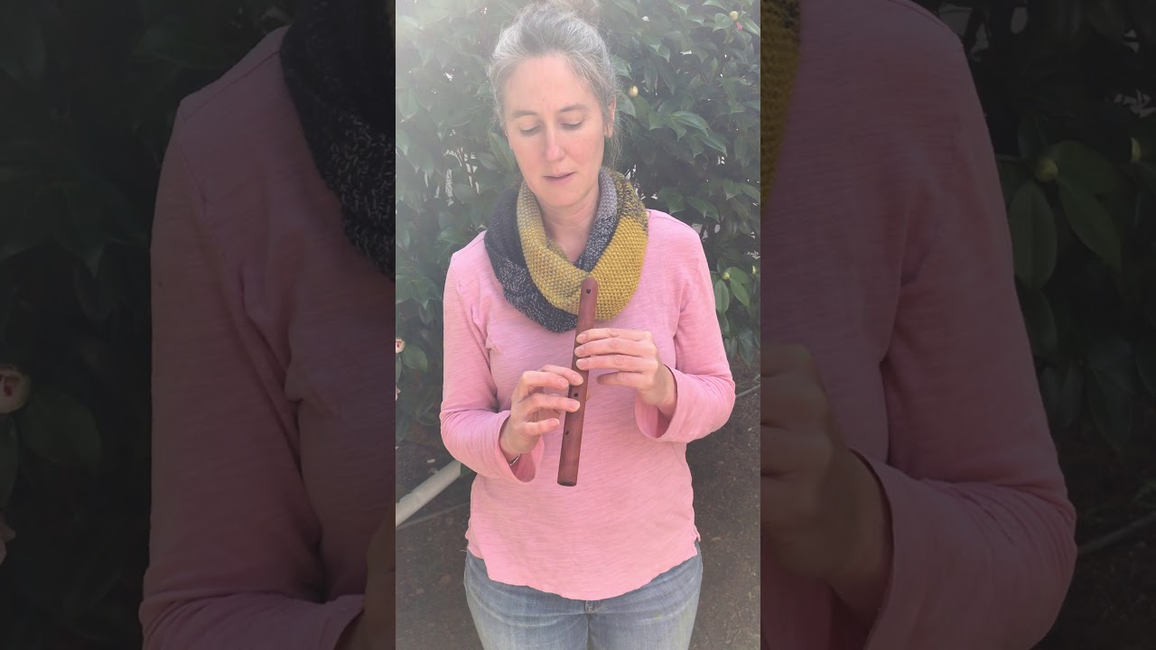 First grade flute lesson 2