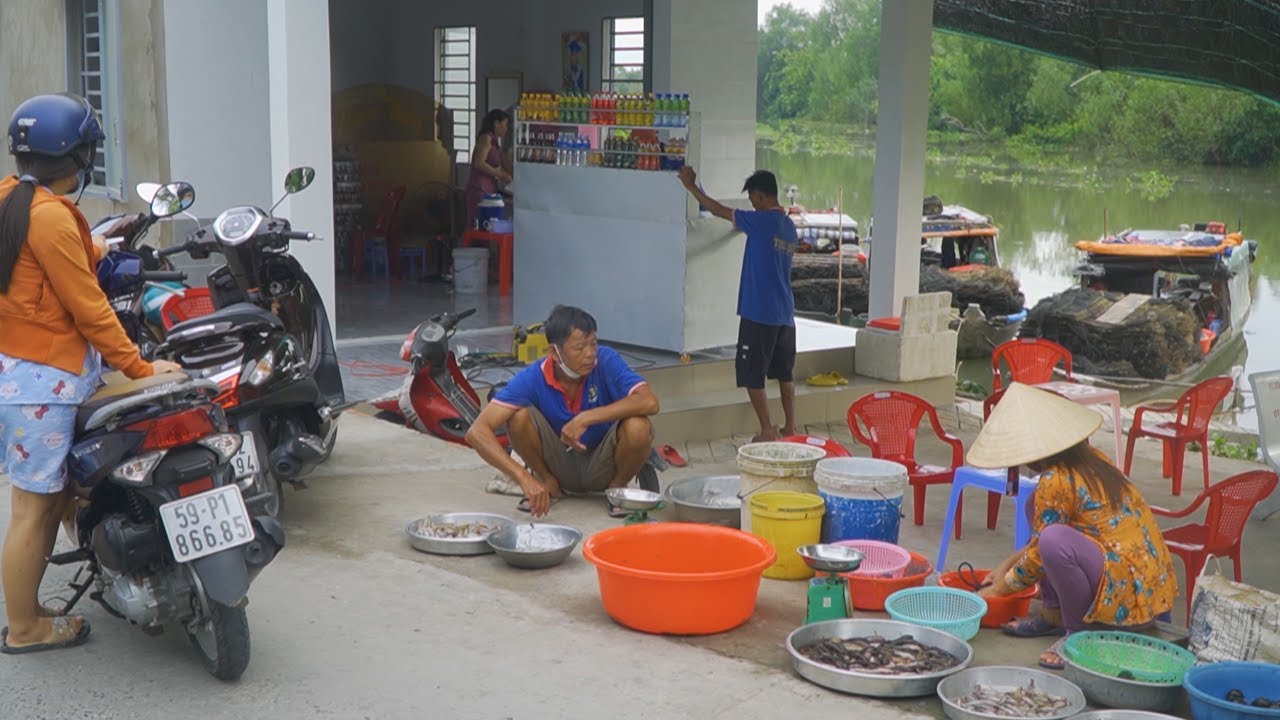 Bán Cá Trên Đường Quê #08 | Nét Quê #324