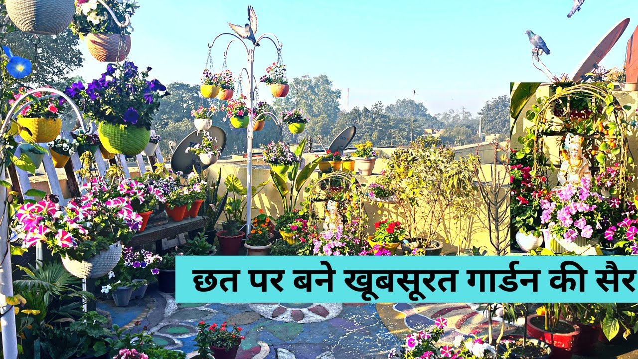 Beautiful Terrace Garden Tour Winter | Rooftop Flower Garden Tour | Plant Life