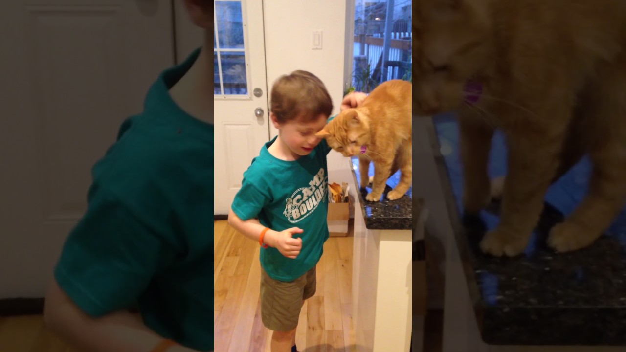 Rusty Gives Head Butts/ Face Rubs